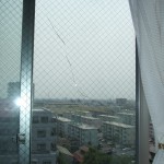 DSCF5348